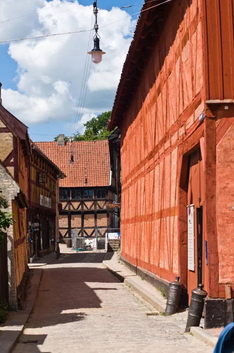 DSC_7256 by Wioleta Wołoszyn. 