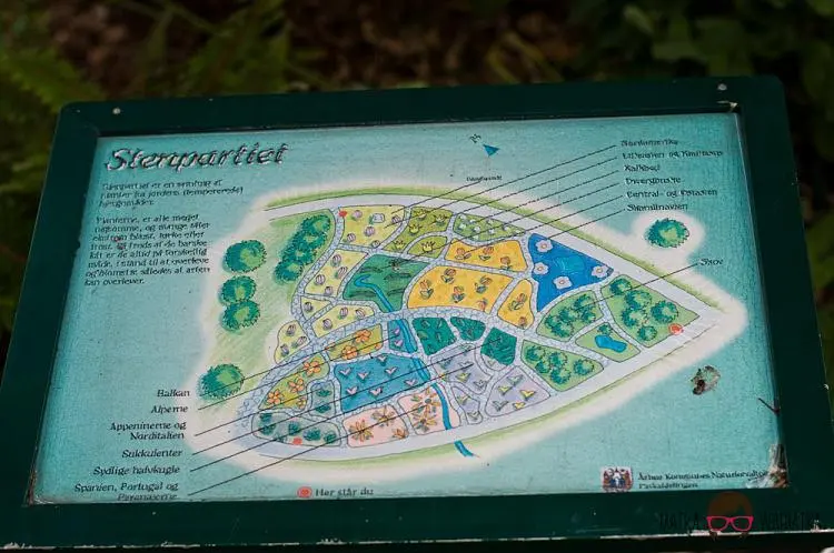 DSC_7286 by Wioleta Wołoszyn. 