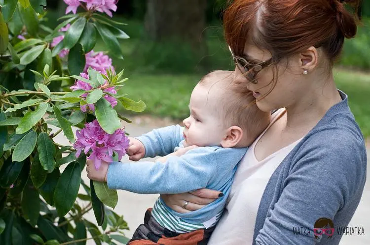 DSC_7299 by Wioleta Wołoszyn. 