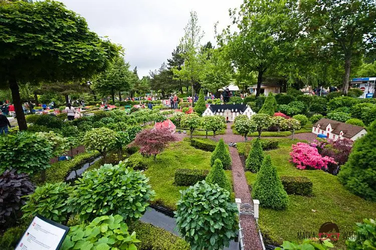 DSC_7407 by Wioleta Wołoszyn. 