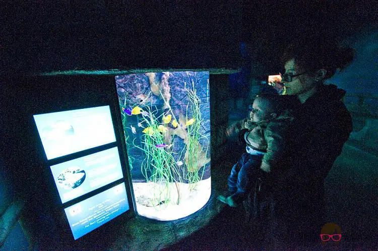 DSC_7473 by Wioleta Wołoszyn. 