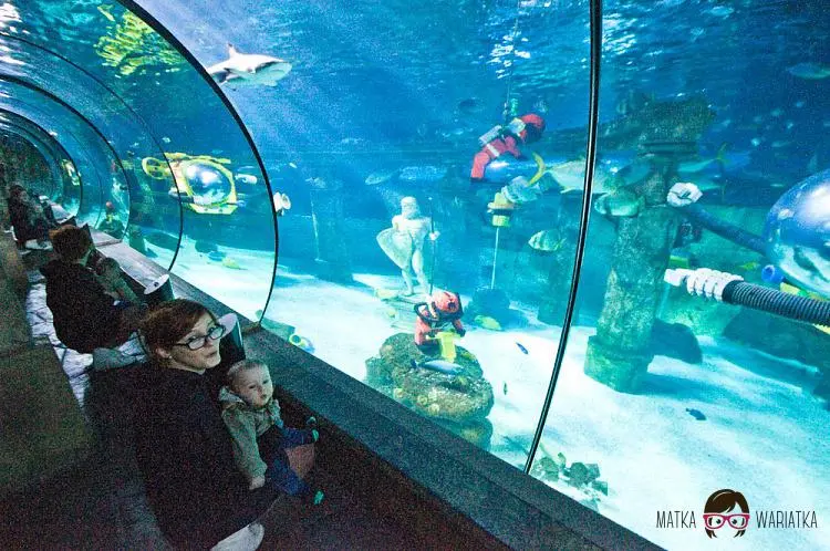 DSC_7479 by Wioleta Wołoszyn. 