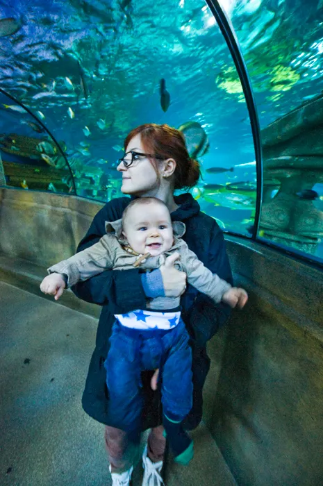 DSC_7494 by Wioleta Wołoszyn. 