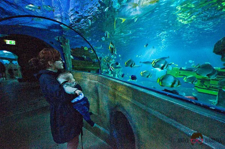 DSC_7495 by Wioleta Wołoszyn. 