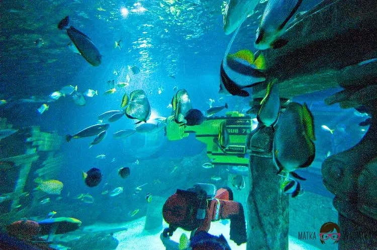 DSC_7497 by Wioleta Wołoszyn. 