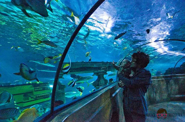 DSC_7500 by Wioleta Wołoszyn. 