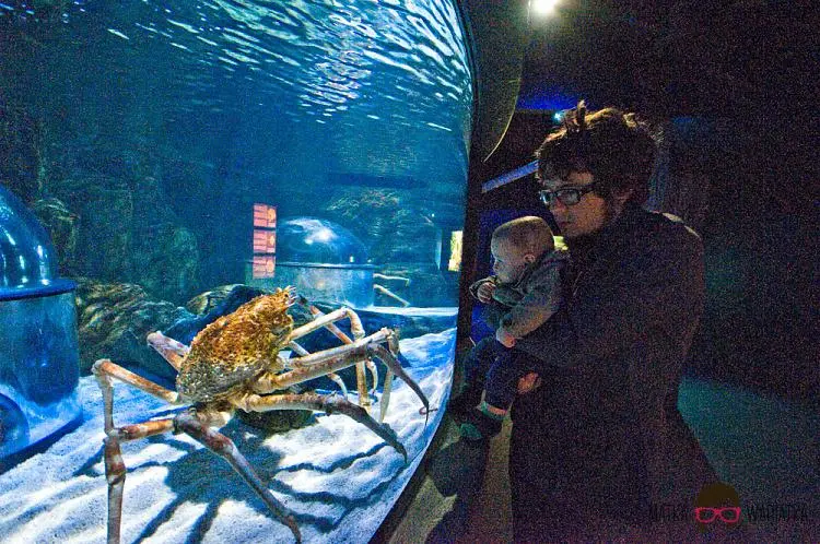 DSC_7505 by Wioleta Wołoszyn. 