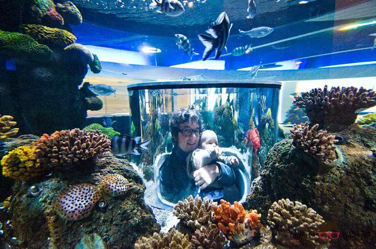 DSC_7512 by Wioleta Wołoszyn. 