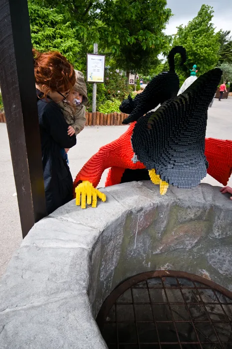 DSC_7520 by Wioleta Wołoszyn. 