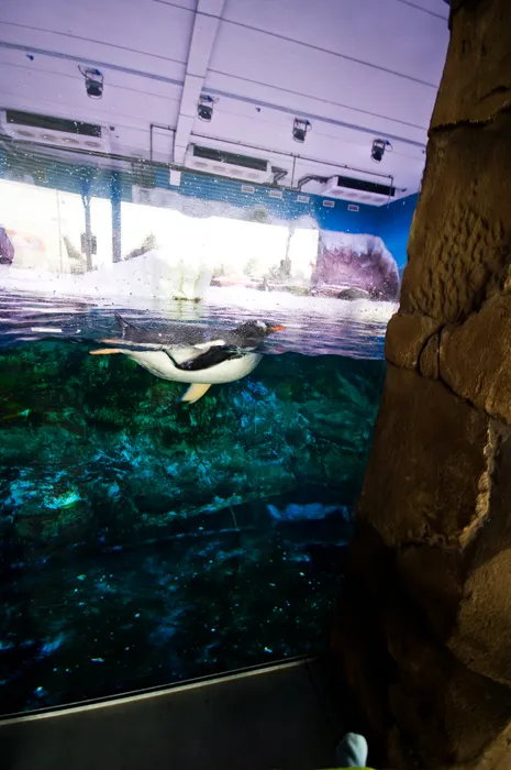 DSC_7523 by Wioleta Wołoszyn. 