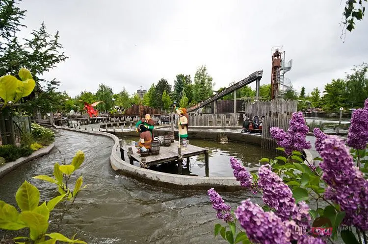 DSC_7530 by Wioleta Wołoszyn. 