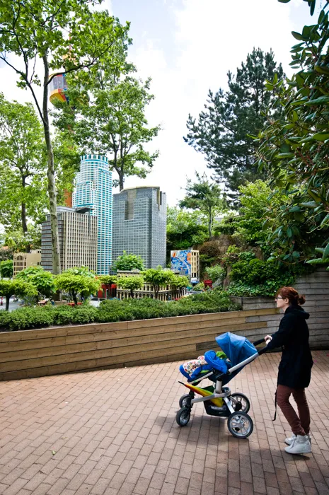 DSC_7547 by Wioleta Wołoszyn. 