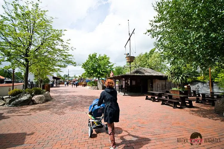 DSC_7548 by Wioleta Wołoszyn. 