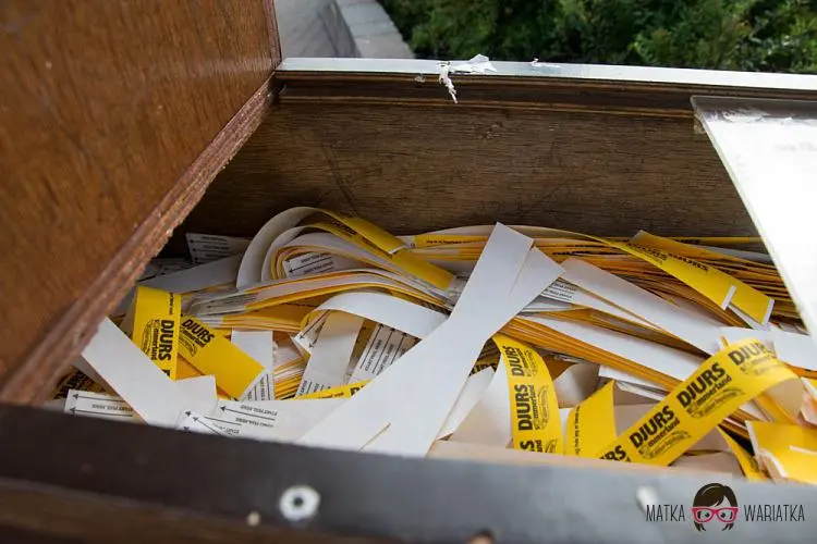 DSC_8731 by Wioleta Wołoszyn. 