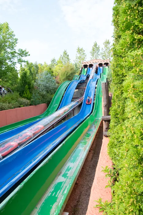 DSC_8760 by Wioleta Wołoszyn. 