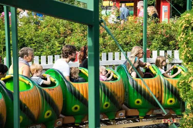 DSC_8794 by Wioleta Wołoszyn. 