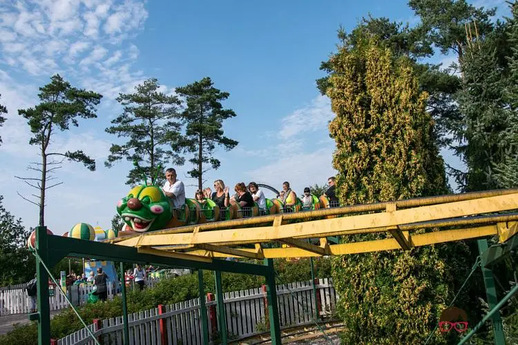 DSC_8795 by Wioleta Wołoszyn. 