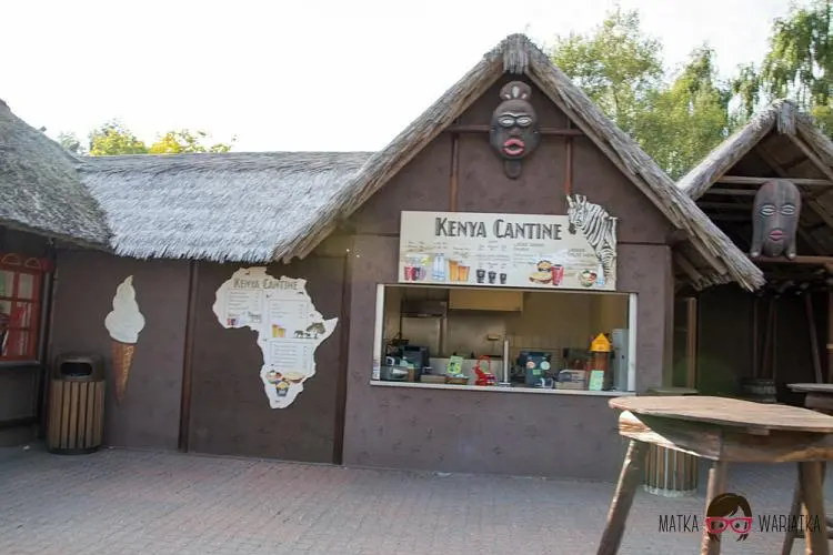 DSC_8853 by Wioleta Wołoszyn. 