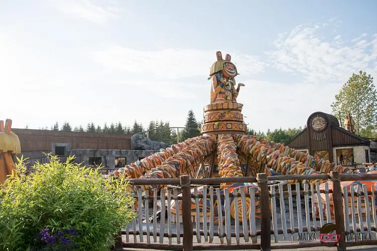 DSC_8877 by Wioleta Wołoszyn. 