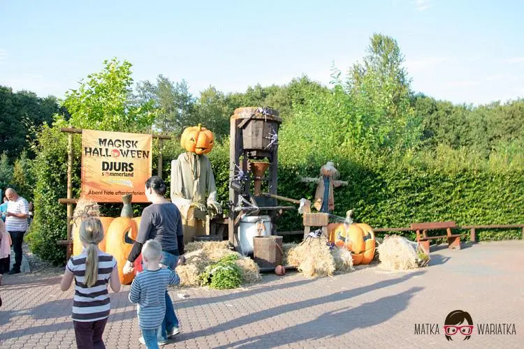 DSC_8881 by Wioleta Wołoszyn. 