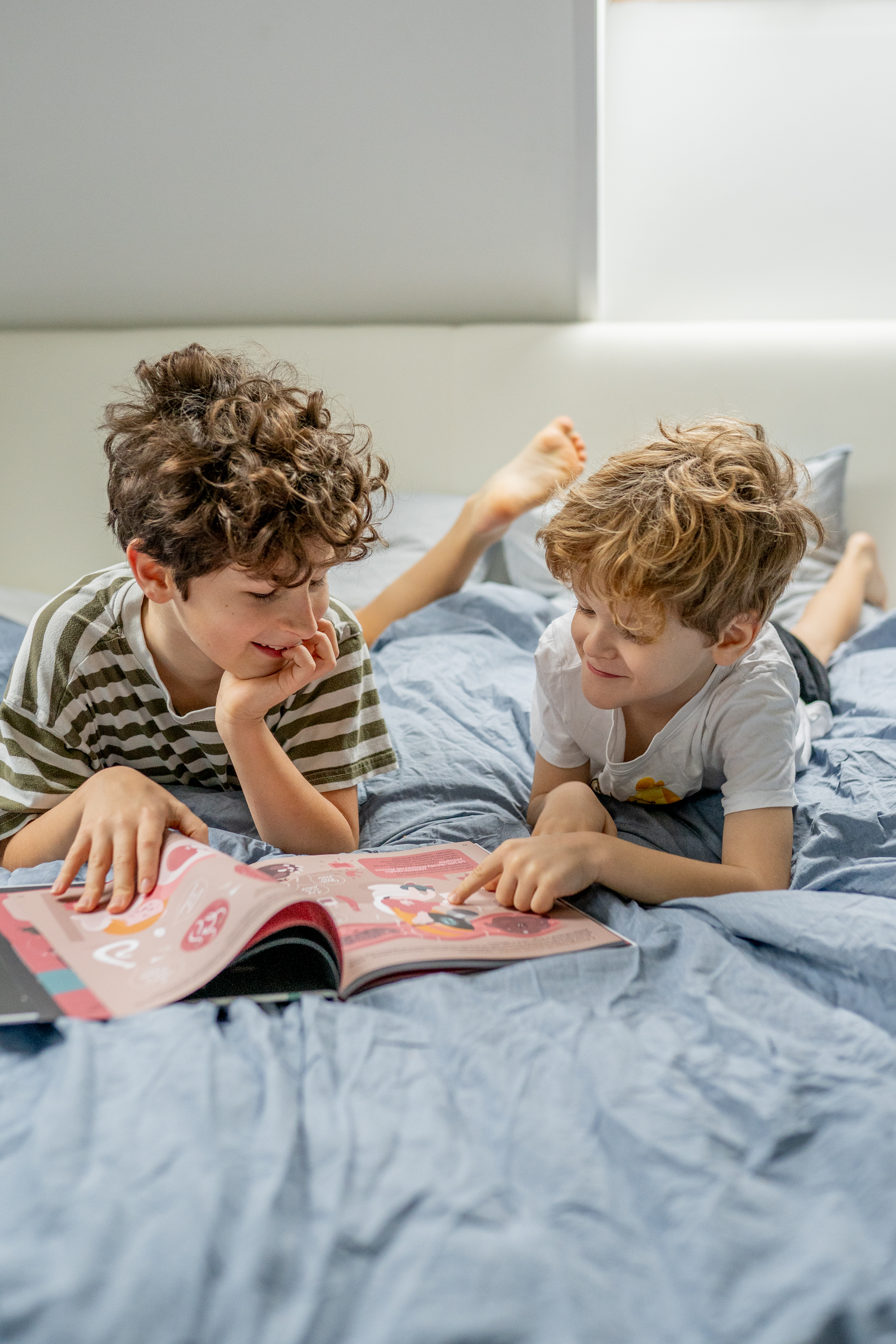 Alice's belly, or the heap of fact  about digestion