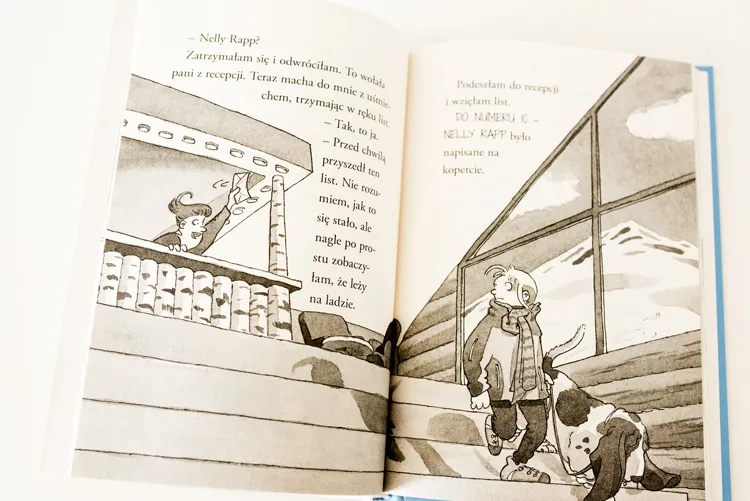 Nelly Rapp i czlowiek sniegu002ksiazka by .