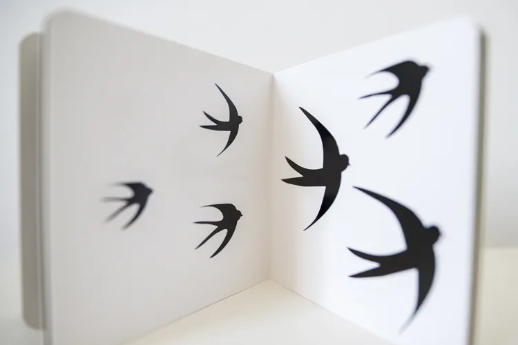 Kapitan Nauka020Prezent na Dzien Dziecka by .