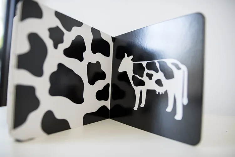 Kapitan Nauka021Prezent na Dzien Dziecka by .