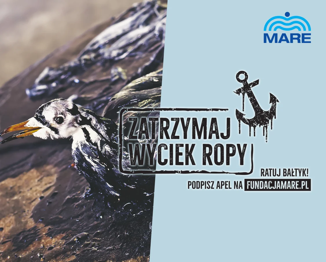 WRAK_FB_mewa bez logotypow by . 