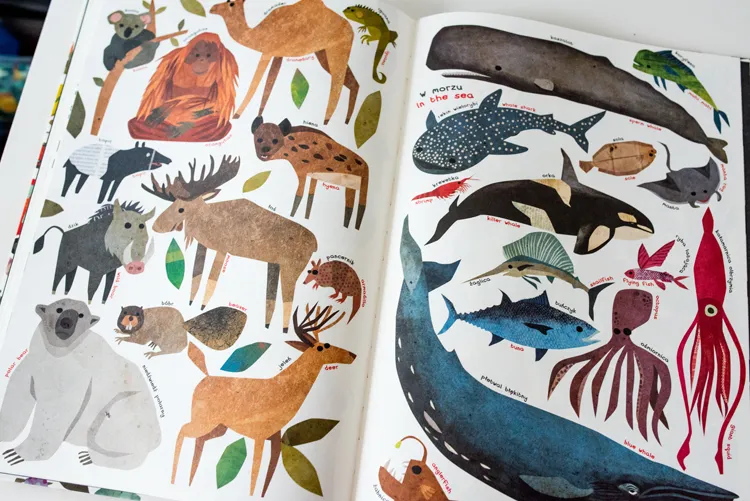 Ksiazki dla przedszkolaka014Ksiazki dla dzieci by .