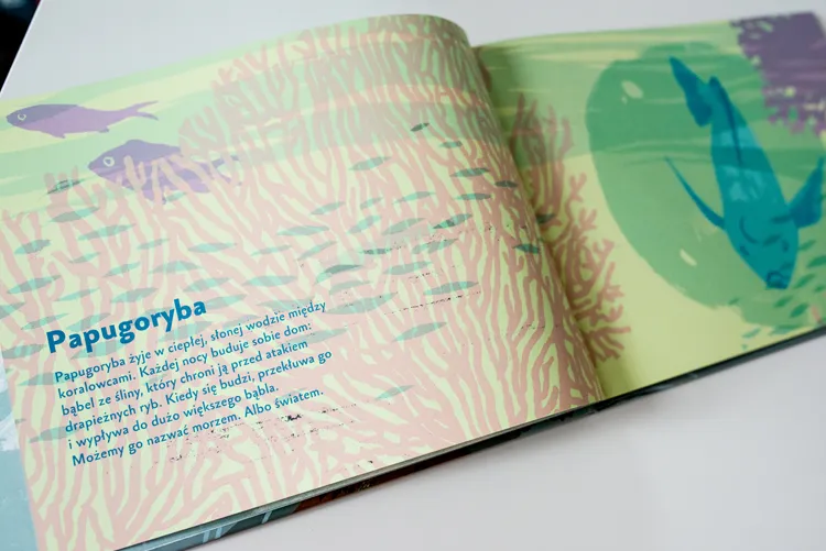 Ksiazki dla przedszkolaka035Ksiazki dla dzieci by .