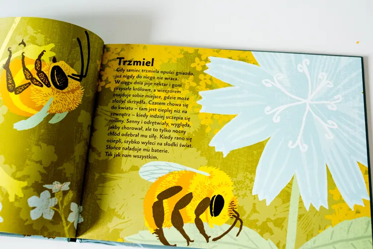 Ksiazki dla przedszkolaka036Ksiazki dla dzieci by .