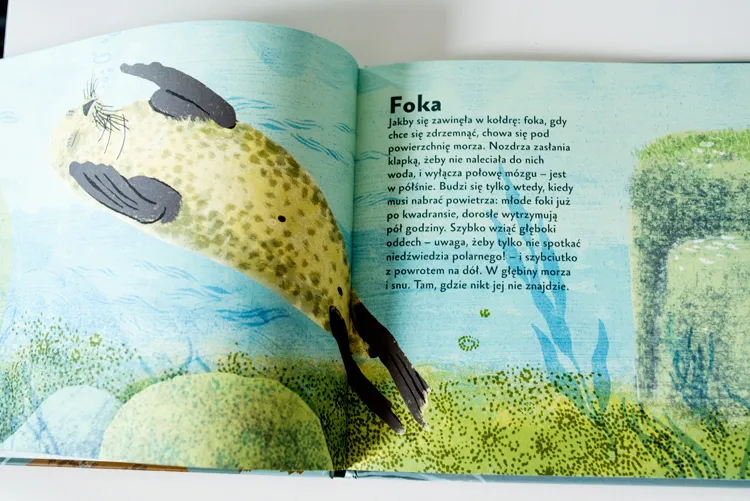 Ksiazki dla przedszkolaka037Ksiazki dla dzieci by .