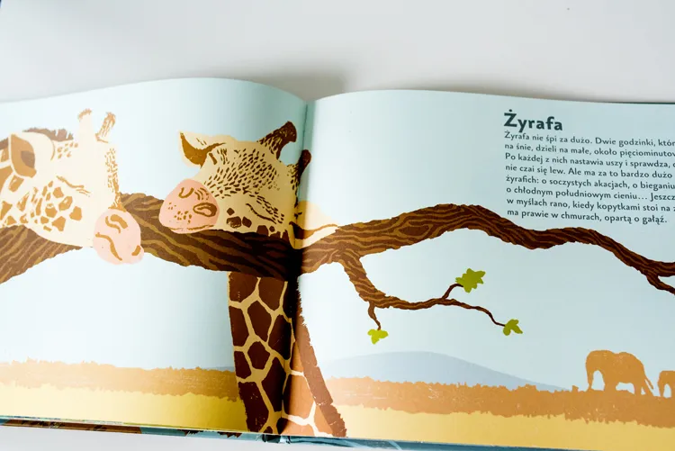 Ksiazki dla przedszkolaka038Ksiazki dla dzieci by .